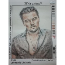 Tűgobelin  15x20 cm, Leonardo DiCaprió