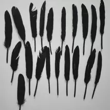 Fekete színű kemény toll
