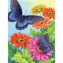 Festés számok szerint készlet fakerettel 40x50 cm