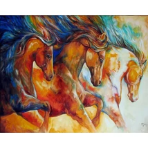Festés számok szerint készlet fakerettel 40x50 cm