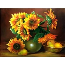 Festés számok szerint készlet fakerettel 40x50 cm