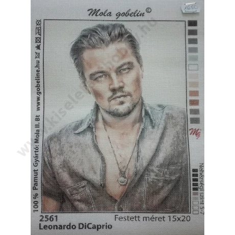 Tűgobelin  15x20 cm, Leonardo DiCaprió