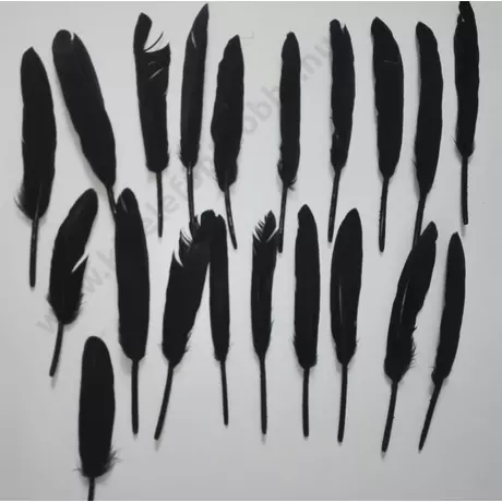 Fekete színű kemény toll