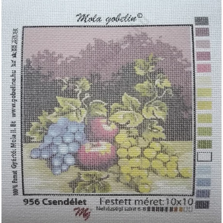 Tűgobelin 10X10 cm