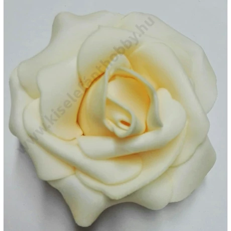 Habrózsa barack 6-7 cm