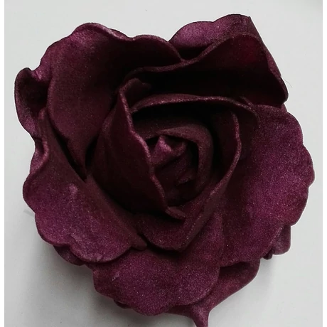 Habrózsa püspöklila 6-7 cm