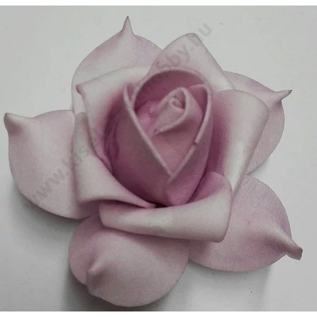 Habrózsa halványlila 6-7 cm