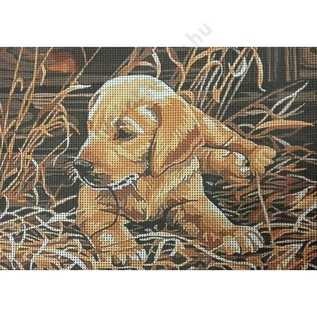 Gobelin normál 22x30 cm