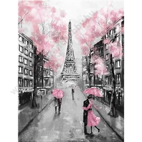 Festés számok szerint készlet fakerettel 40x50 cm