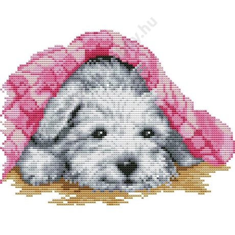 KERESZTSZEMES KÉP CÉRNÁVAL 28x34 cm