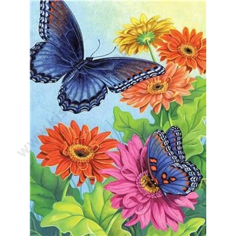 Festés számok szerint készlet fakerettel 40x50 cm