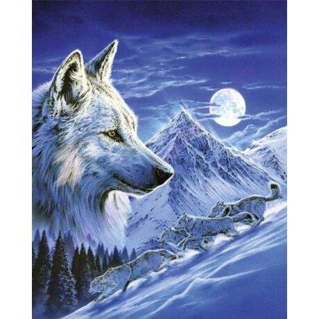 Gyémántszemes kirakó szett 45x55 cm fehér farkas