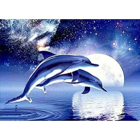 Delfin - Gyémántszemes kirakó - 35x45cm - Kerek köves
