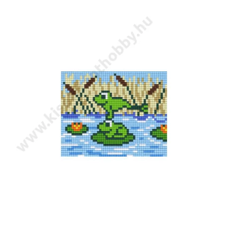 Béka pixelhobby kép készlet