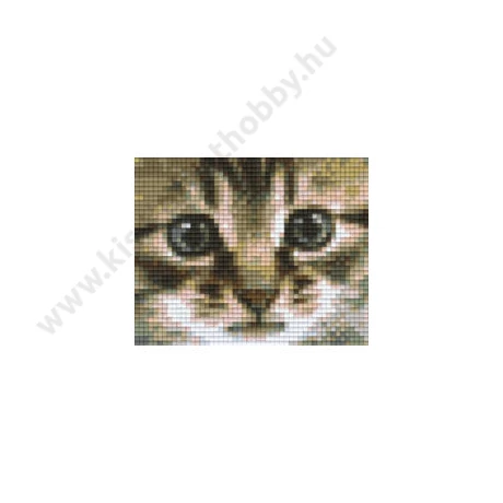 Cica pixelhobby kép készlet