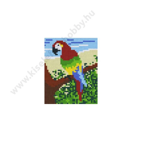 Papagáj - pixelhobby kirakó szett