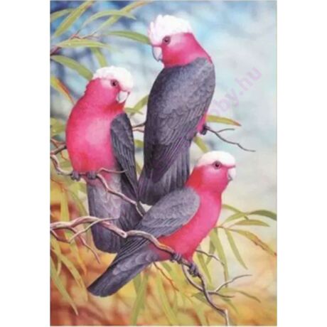 Papagájok - Gyémántszemes kirakó - 30x40cm - Kerek köves