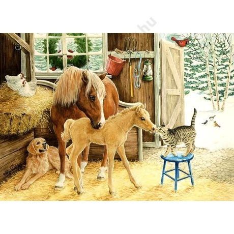 FESTÉS SZÁMOK SZERINT KÉSZLET FAKERETTEL 40X50 CM 