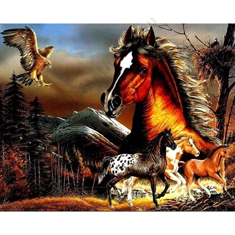 Festés számok szerint készlet fakerettel 40x50 cm
