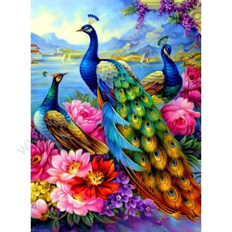 Festés számok szerint készlet fakerettel 40x50 cm