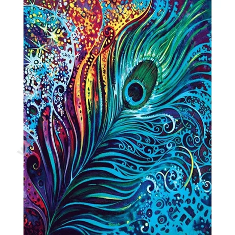 Festés számok szerint készlet fakerettel 40x50 cm- pávatoll