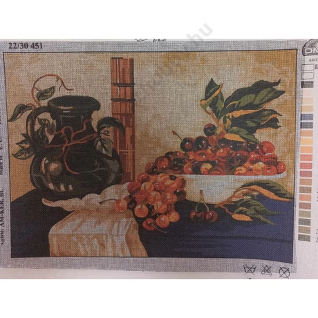 Tűgobelin 22x30 cm