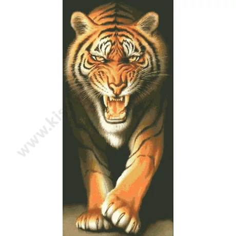 Tigris - Gyémántszemes kirakó - 46x76cm - Kerek köves