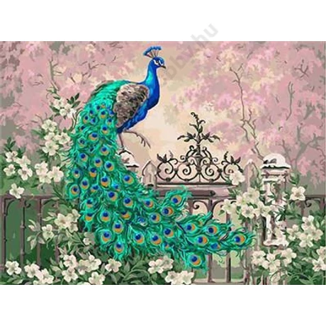 Festés számok szerint festőkészlet fa kerettel  40x50 cm