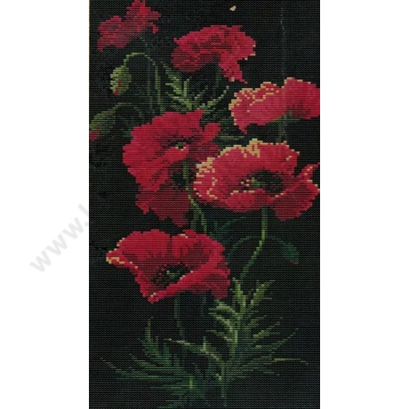 KERESZTSZEMES KÉP CÉRNÁVAL 29x56 cm